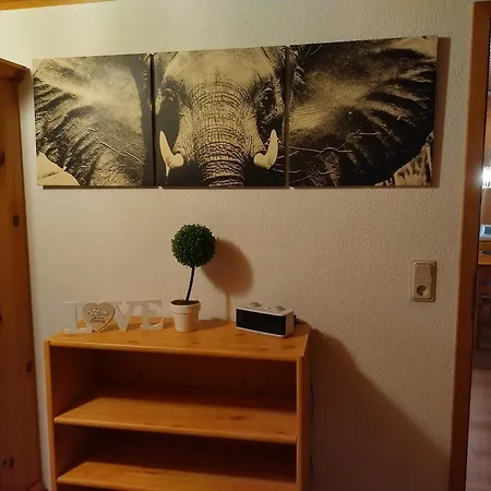 Dorfschoenheit Appartement *